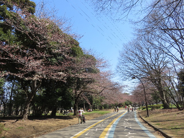 ファイル 4858-3.jpg