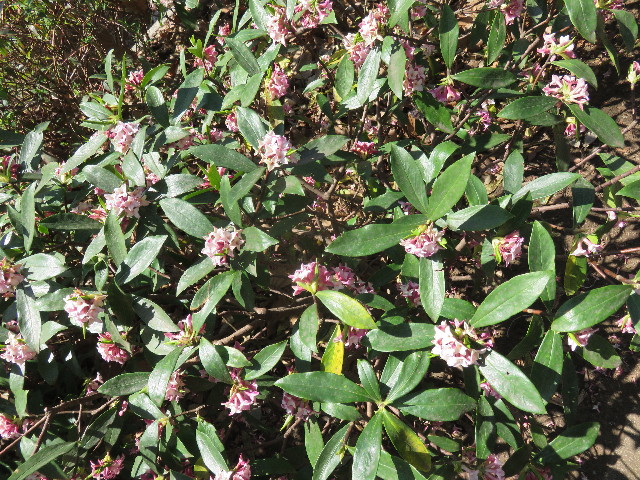 ファイル 4858-5.jpg