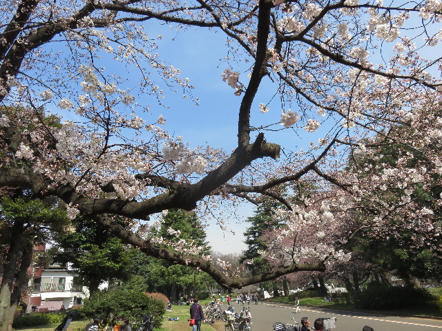 ファイル 4871-2.jpg