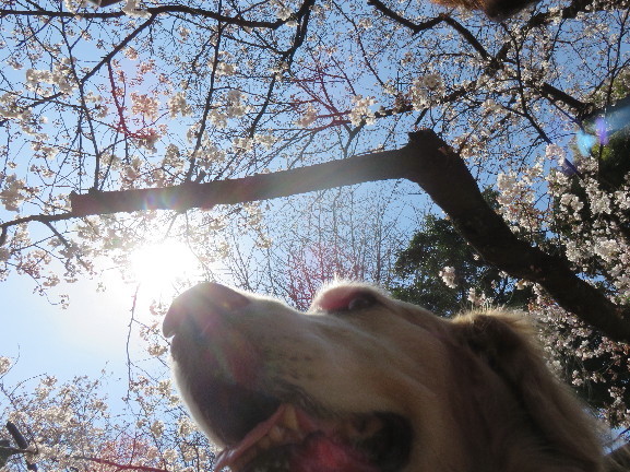 ファイル 4871-4.jpg