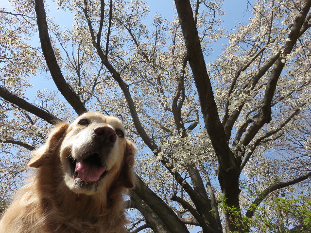 ファイル 4872-4.jpg