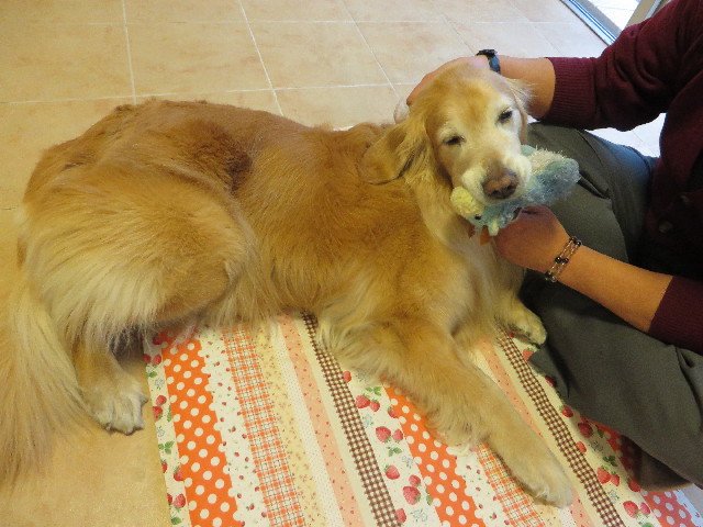 ファイル 4874-3.jpg