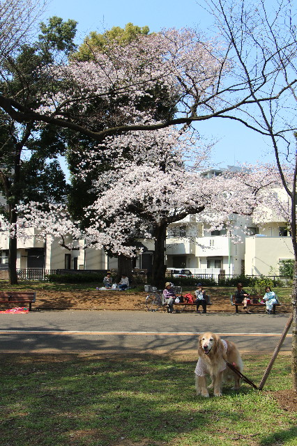 ファイル 4875-2.jpg