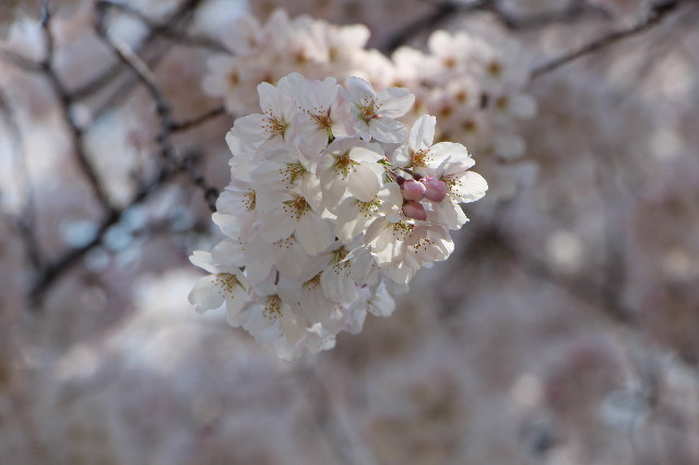 ファイル 4875-3.jpg