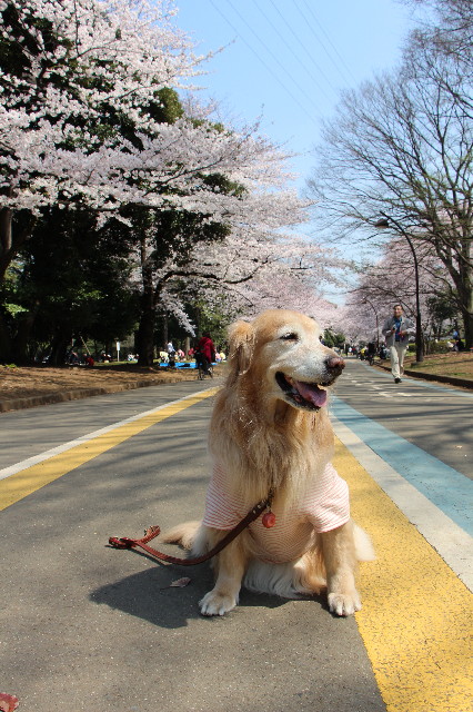 ファイル 4875-4.jpg