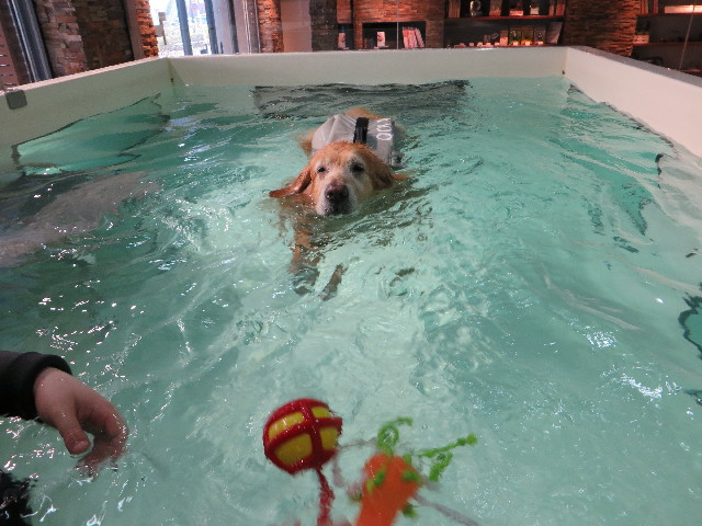 ファイル 4881-3.jpg