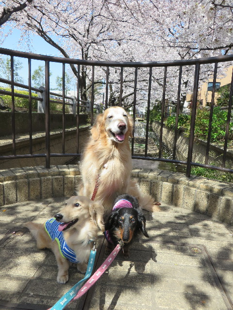 ファイル 4882-2.jpg