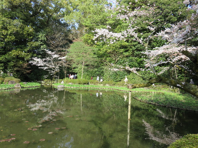 ファイル 4884-4.jpg