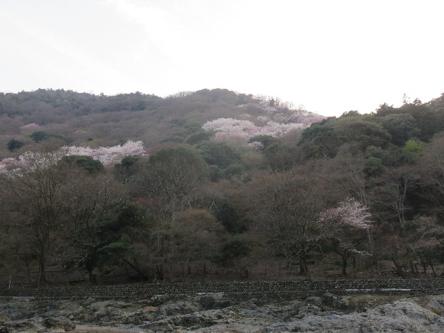 ファイル 4886-4.jpg