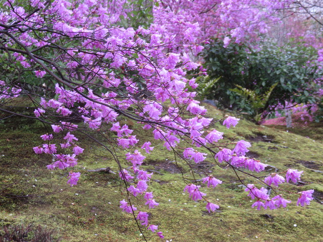 ファイル 4890-4.jpg