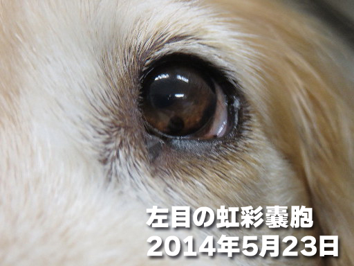 ファイル 4896-2.jpg