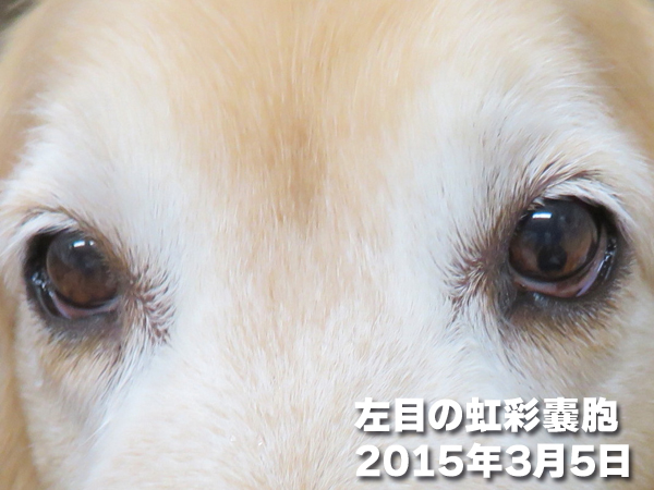 ファイル 4896-3.jpg