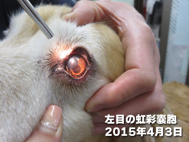 ファイル 4896-4.jpg