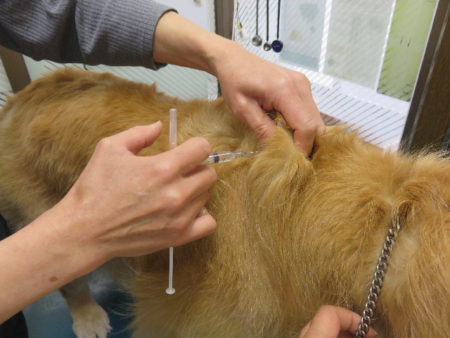 ファイル 4897-1.jpg