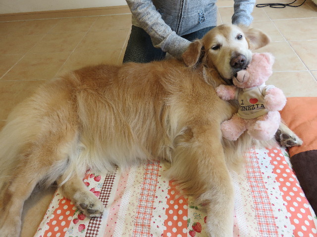 ファイル 4897-3.jpg