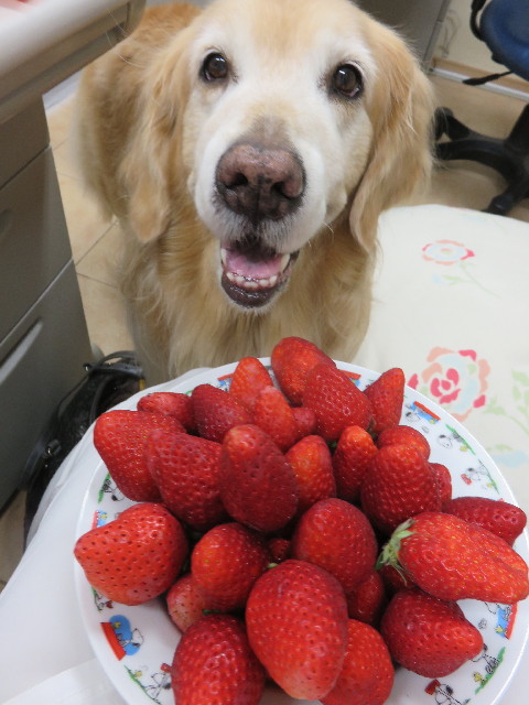 ファイル 4897-4.jpg