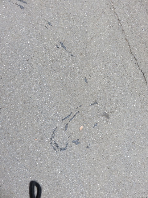 ファイル 4897-5.jpg