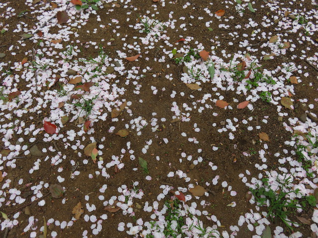 ファイル 4898-2.jpg