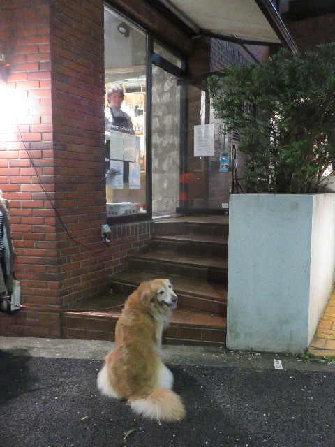 ファイル 4899-2.jpg