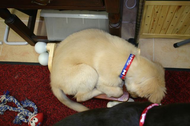 ファイル 49-2.jpg