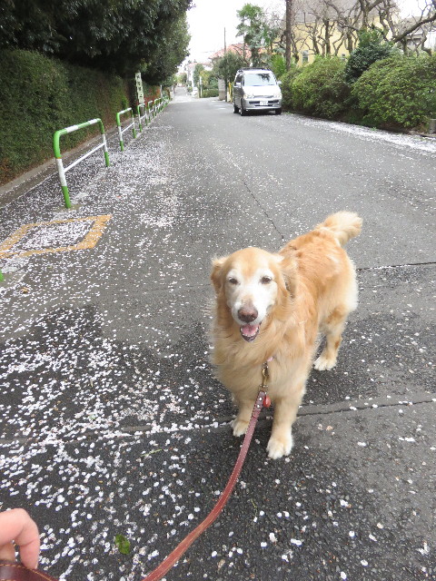 ファイル 4900-4.jpg