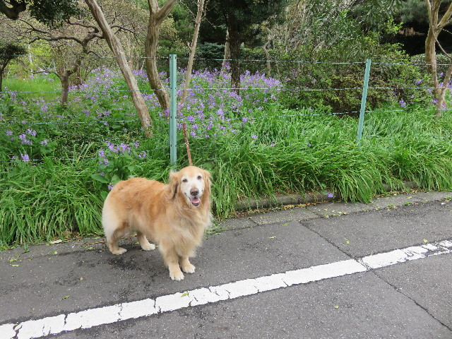 ファイル 4901-1.jpg