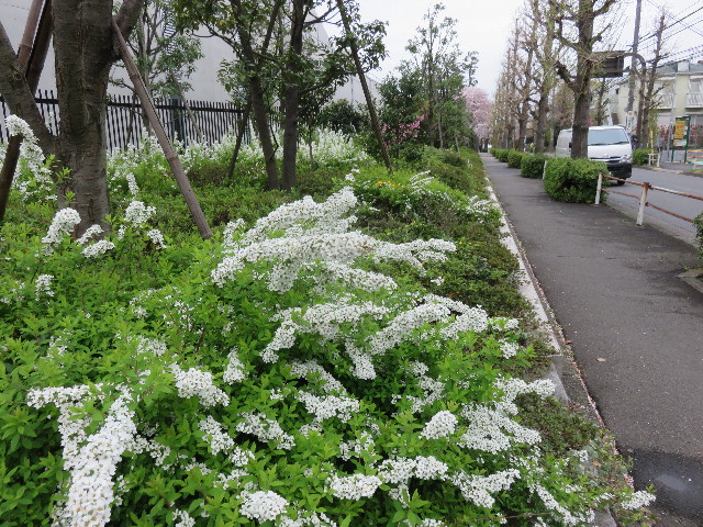 ファイル 4901-5.jpg