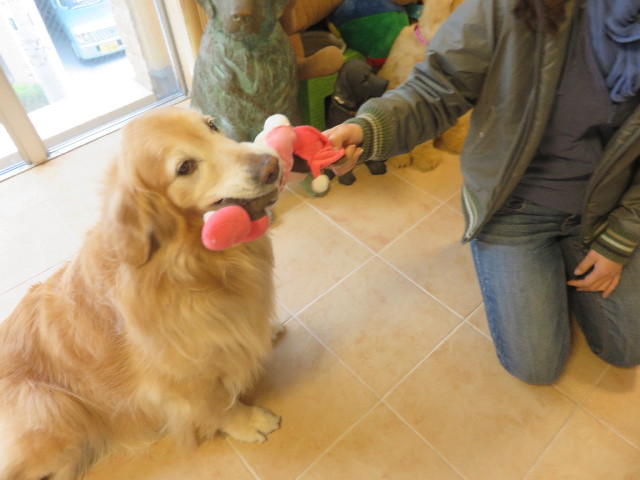 ファイル 4902-2.jpg