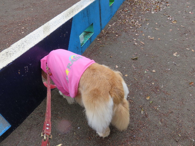 ファイル 4902-5.jpg