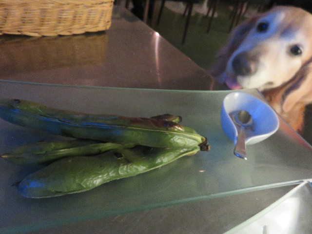 ファイル 4907-4.jpg