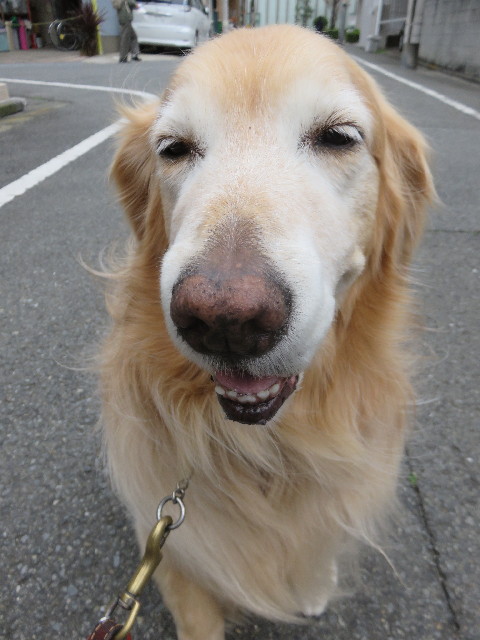 ファイル 4910-3.jpg