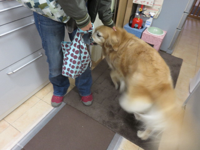 ファイル 4911-3.jpg