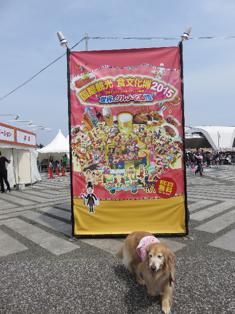 ファイル 4914-1.jpg