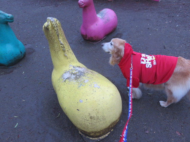 ファイル 4918-2.jpg