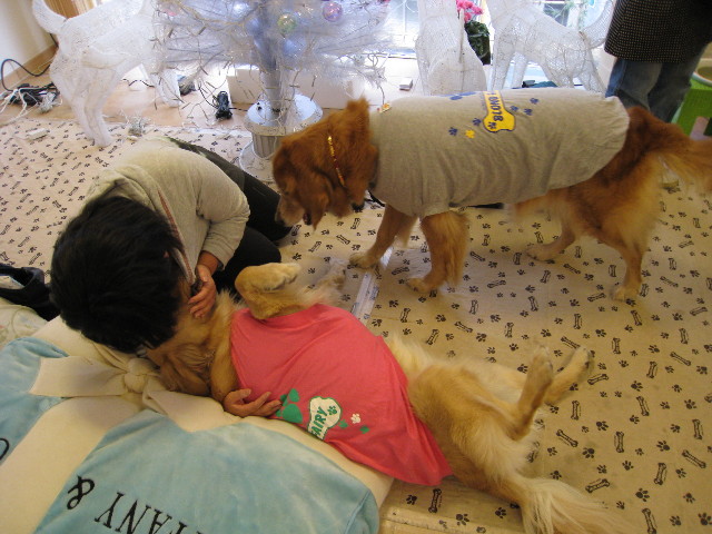 ファイル 492-1.jpg