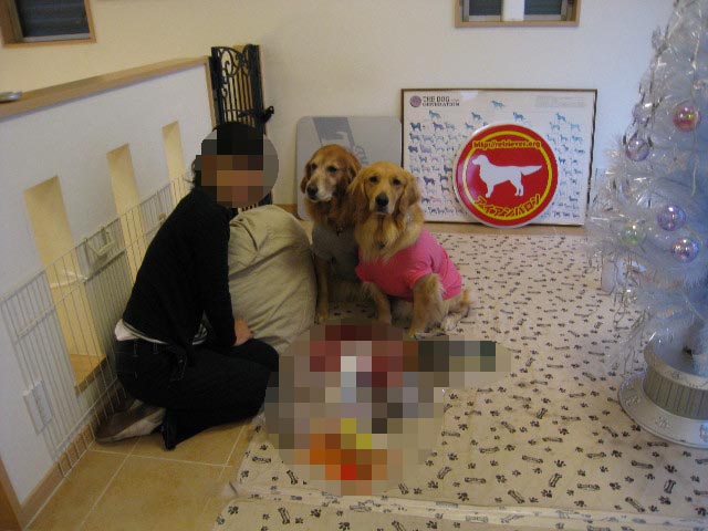 ファイル 492-5.jpg