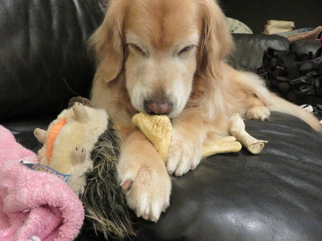 ファイル 4920-1.jpg