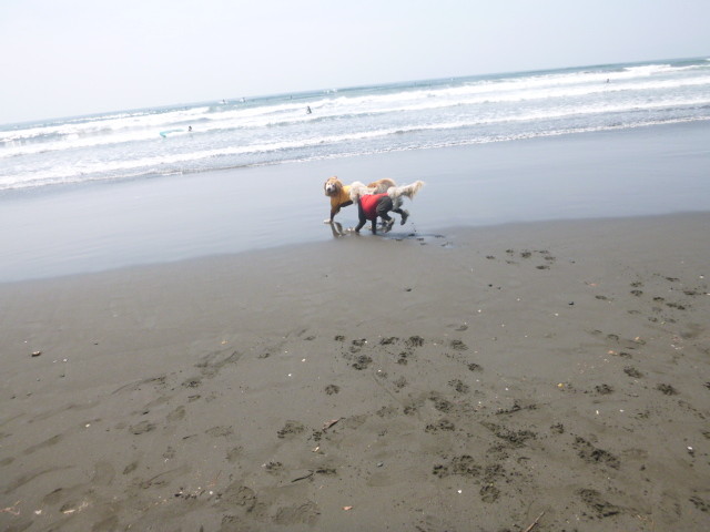 ファイル 4921-2.jpg