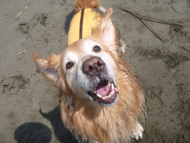 ファイル 4921-3.jpg