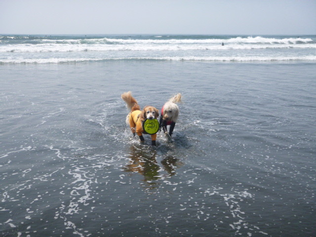 ファイル 4921-4.jpg