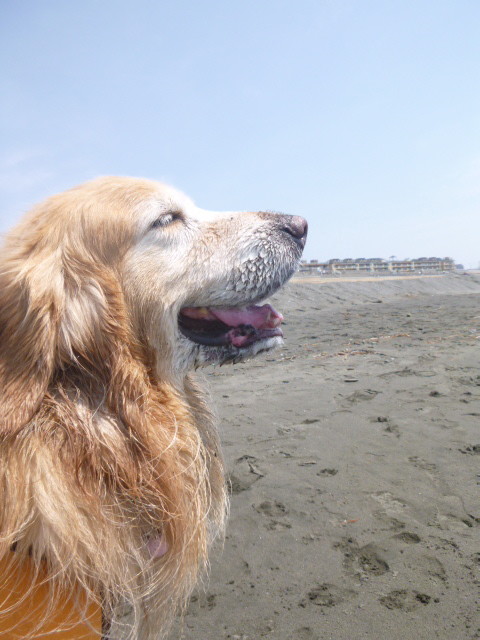 ファイル 4921-5.jpg