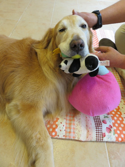 ファイル 4927-3.jpg