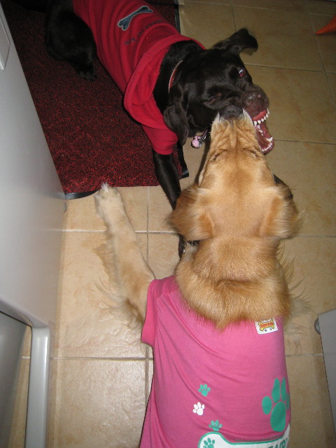 ファイル 493-3.jpg