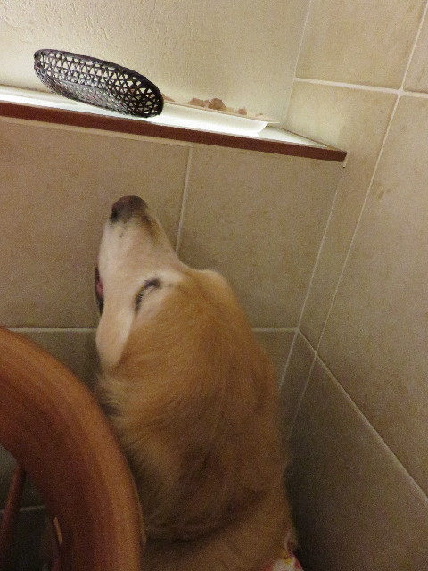 ファイル 4930-3.jpg