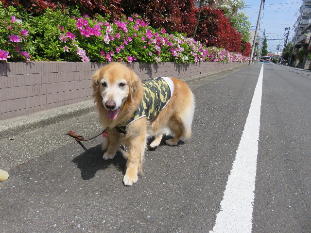 ファイル 4937-3.jpg