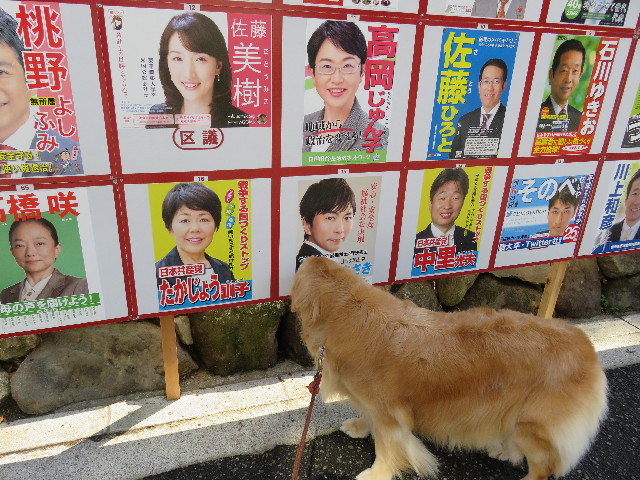 ファイル 4938-1.jpg