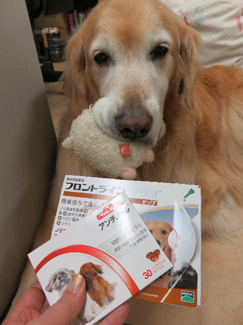 ファイル 4938-5.jpg