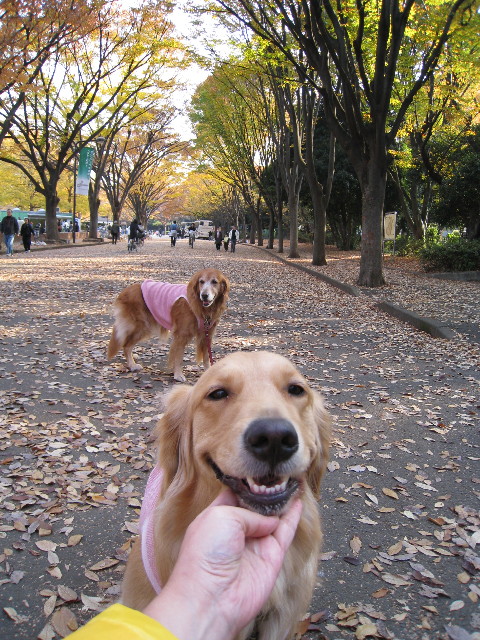 ファイル 494-2.jpg