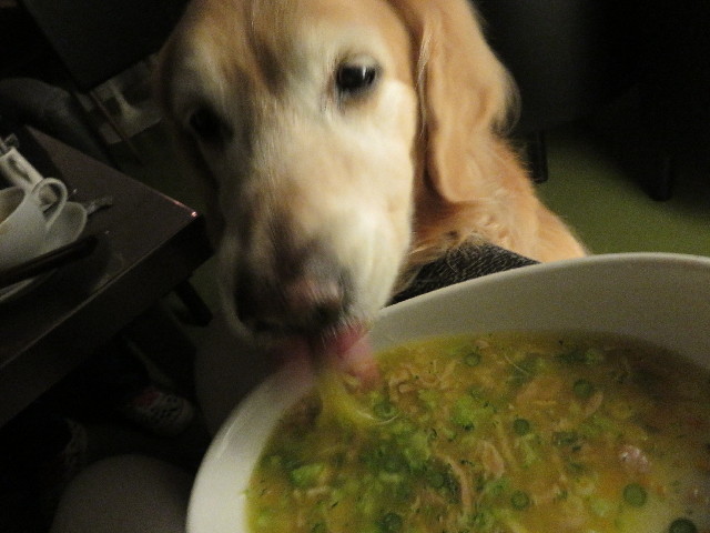 ファイル 4940-1.jpg