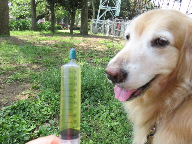 ファイル 4940-4.jpg